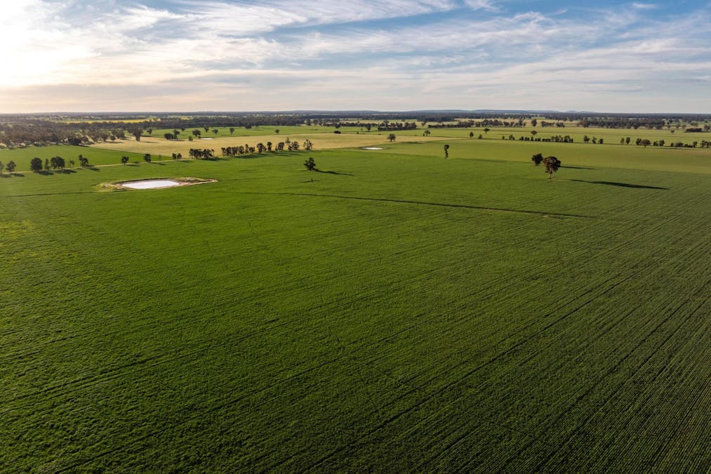 369 McKenzies Road, Galore, NSW, 2650 - Image 7