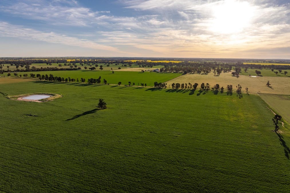 369 McKenzies Road, Galore, NSW, 2650 - Image 8