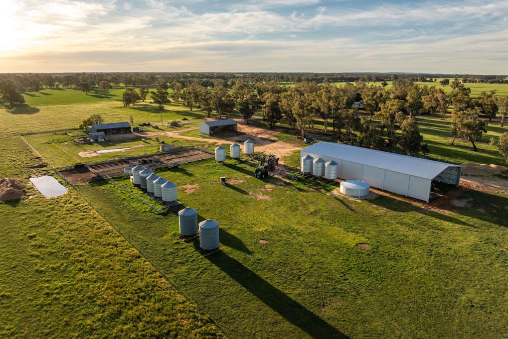 369 McKenzies Road, Galore, NSW, 2650 - Image 11