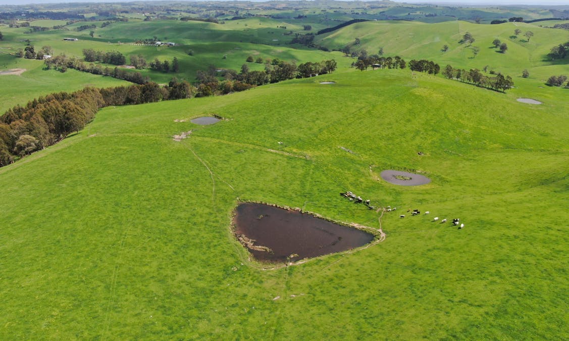 59 Bellview Lane, Korumburra, VIC, 3950 - Image 4