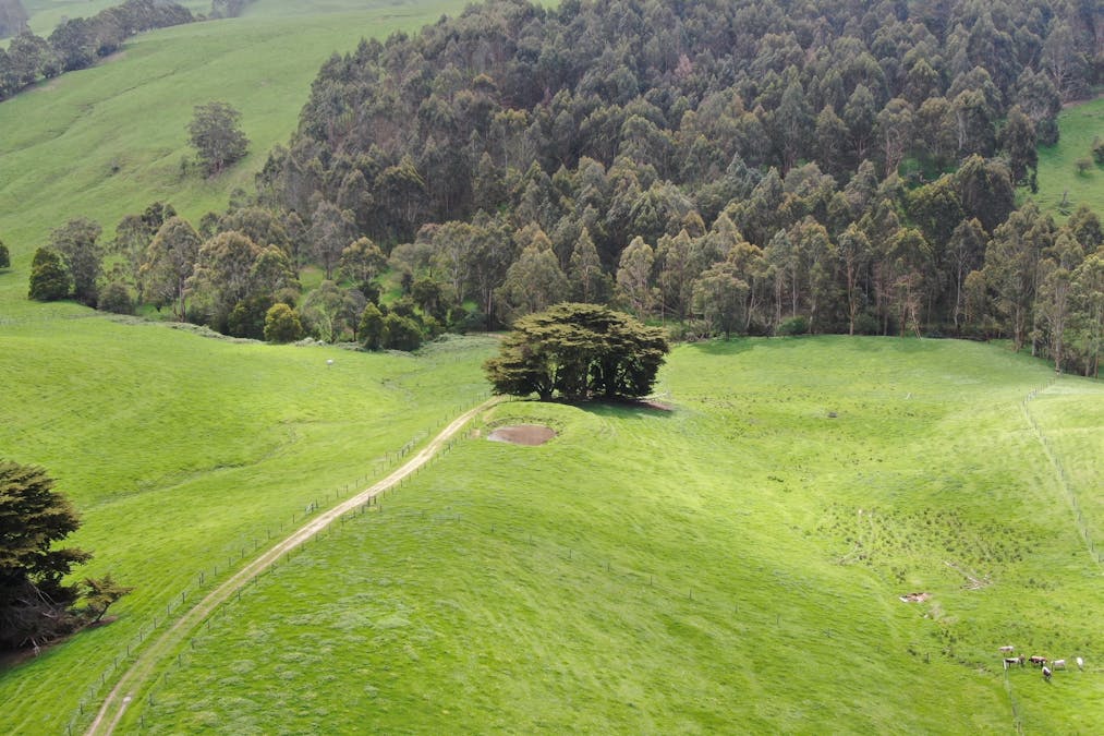 59 Bellview Lane, Korumburra, VIC, 3950 - Image 22