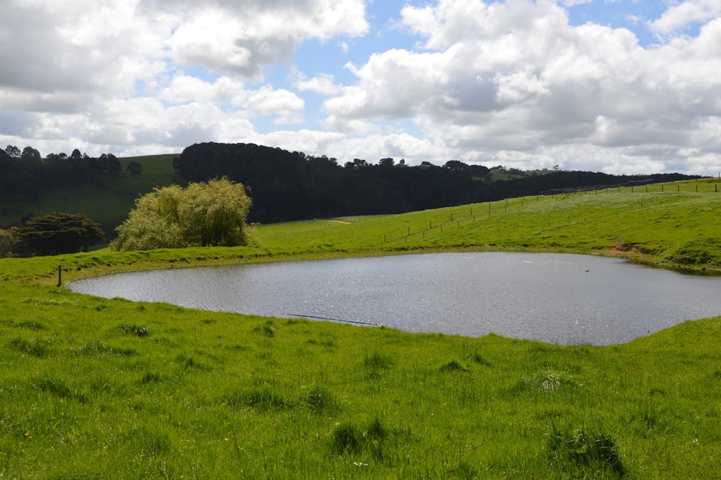 59 Bellview Lane, Korumburra, VIC, 3950 - Image 2