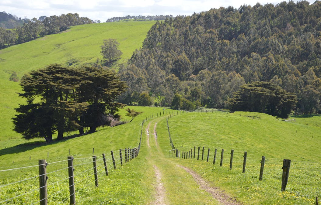 59 Bellview Lane, Korumburra, VIC, 3950 - Image 16