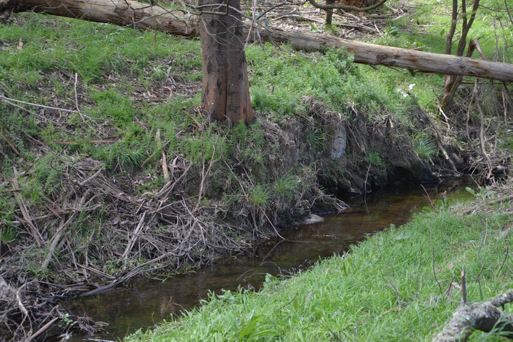 59 Bellview Lane, Korumburra, VIC, 3950 - Image 24