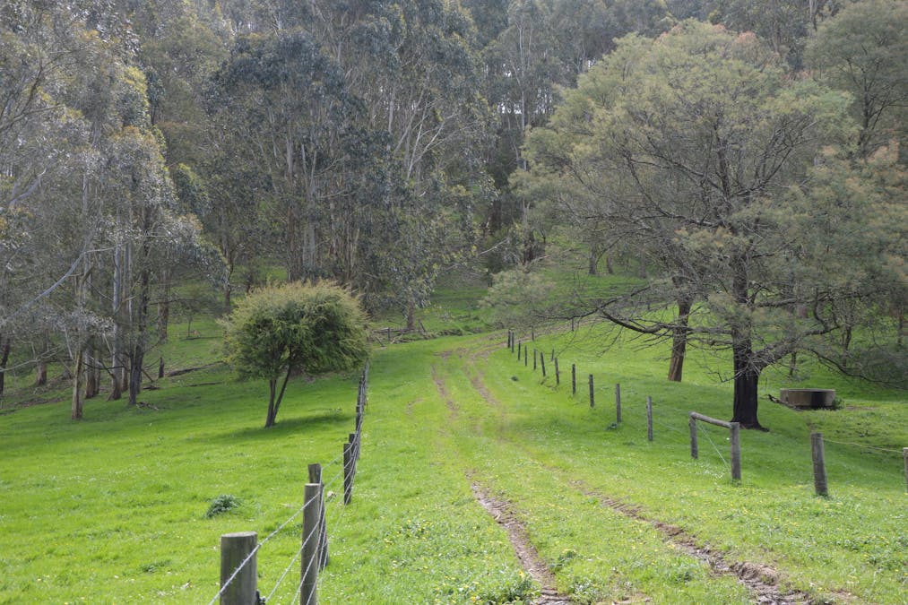 59 Bellview Lane, Korumburra, VIC, 3950 - Image 25