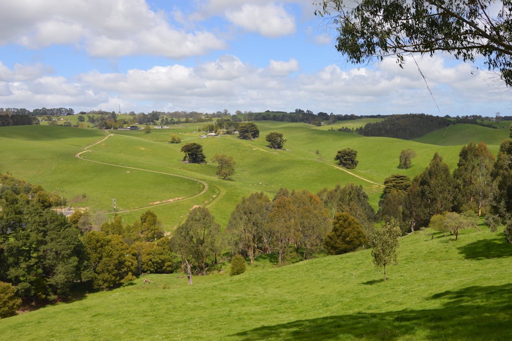 59 Bellview Lane, Korumburra, VIC, 3950 - Image 19