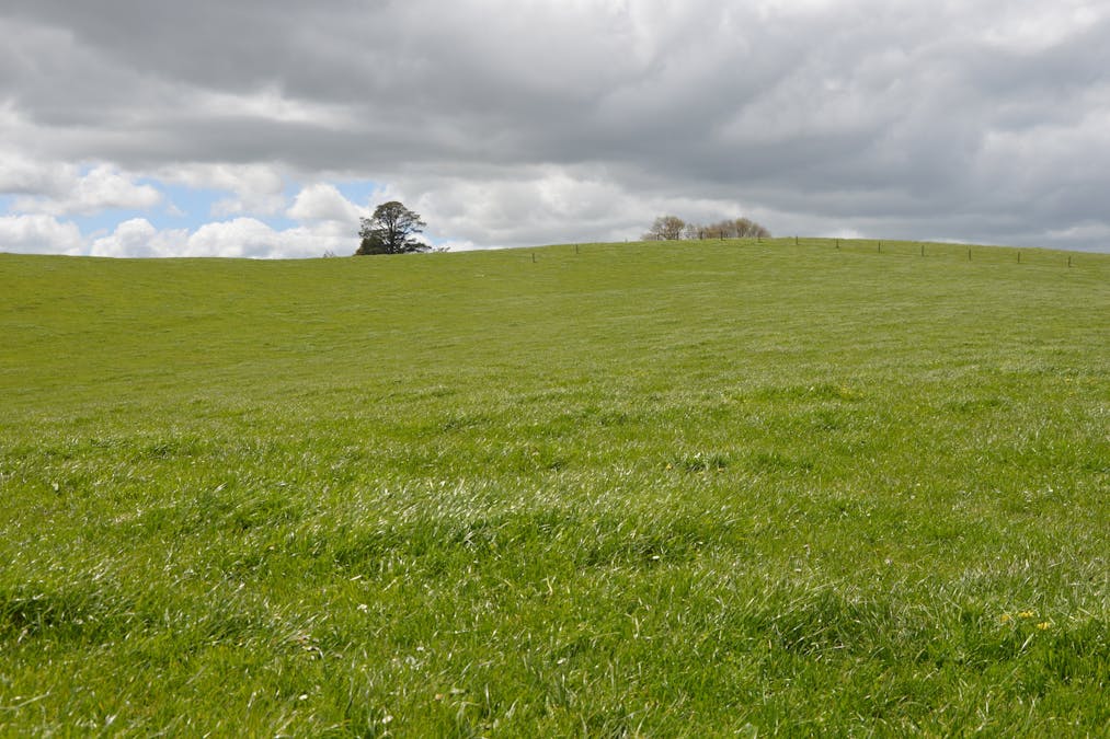 59 Bellview Lane, Korumburra, VIC, 3950 - Image 5