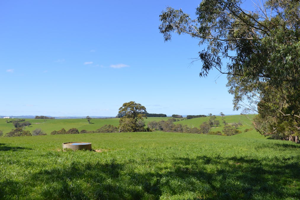 5 Darshan Lane, Koonwarra, VIC, 3954 - Image 4