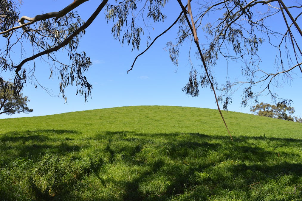 5 Darshan Lane, Koonwarra, VIC, 3954 - Image 27