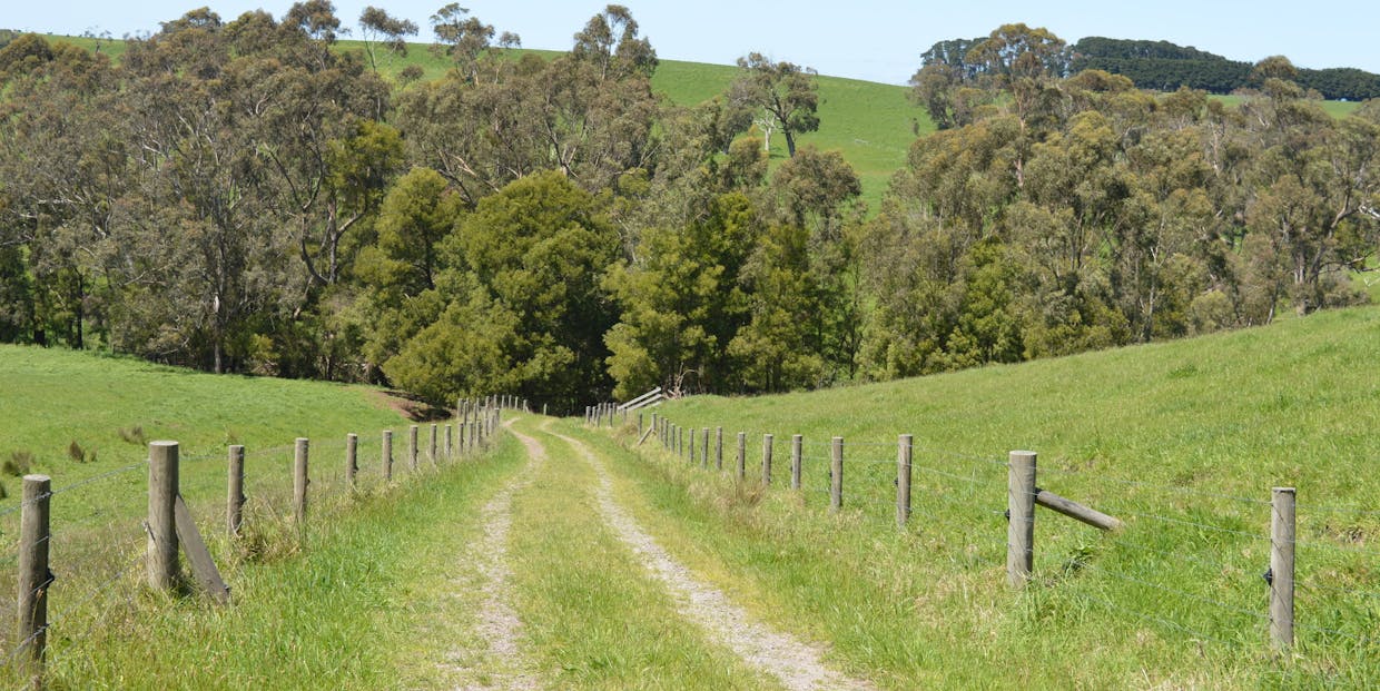 5 Darshan Lane, Koonwarra, VIC, 3954 - Image 32