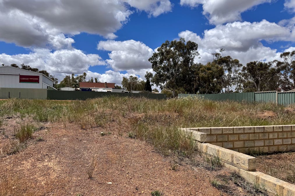 16 Railway Street, Calingiri, WA, 6569 - Image 4