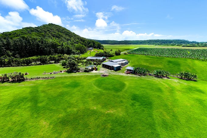 430 Cowley Beach Road, Lower Cowley, QLD, 4871 - Image 1