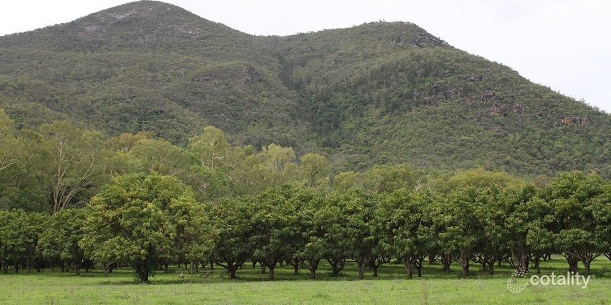 234 Haberecht Road, Majors Creek, QLD, 4816 - Image 16