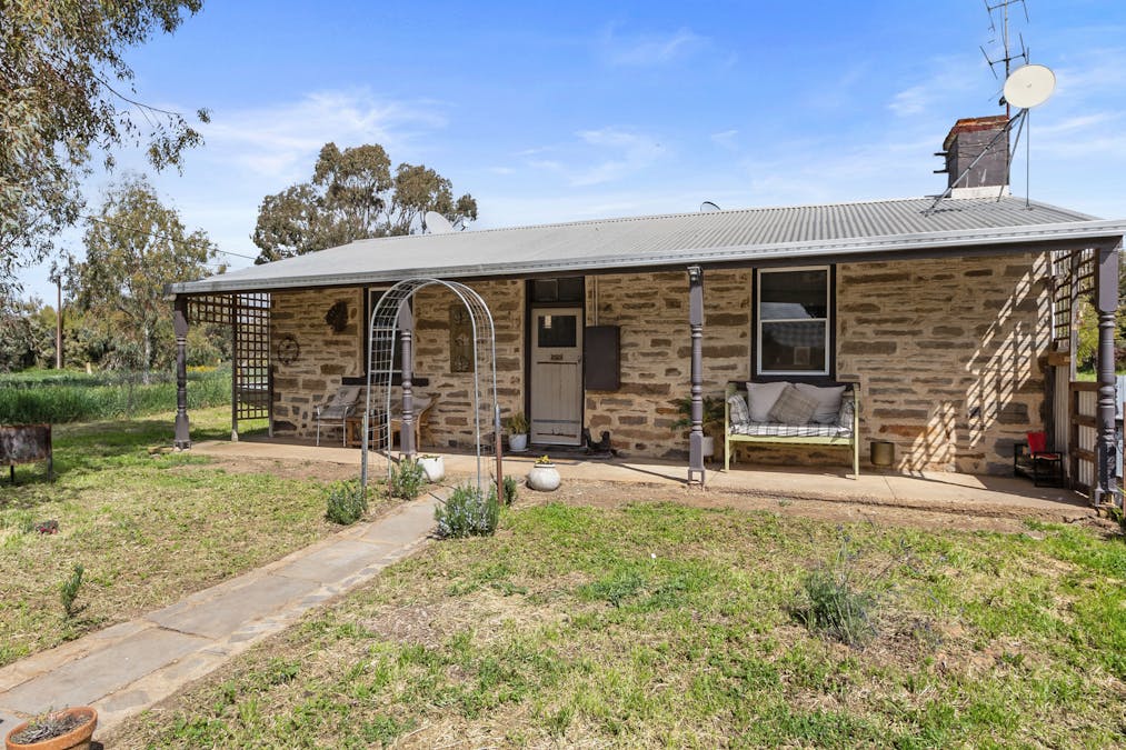 40 Queen Street, Waterloo, SA, 5413 - Image 1