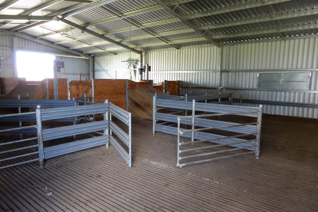 2202 Riddoch Highway, Willalooka, SA, 5267 - Image 19