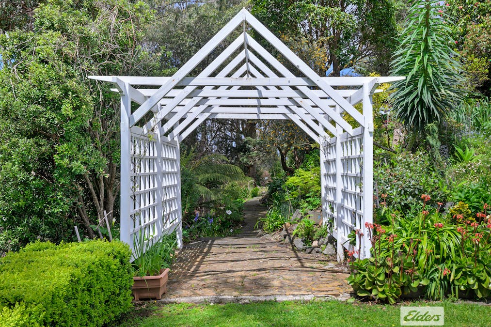 61 Old Mount Hicks Road, Mount Hicks, TAS, 7325 - Image 17