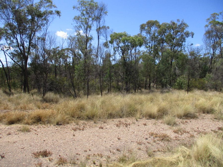 Lot 33 Males Drive, Tara, QLD, 4421 - Image 1