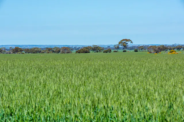 25189 Avon location Road — photo from Elders Real Estate - Merredin Specialists