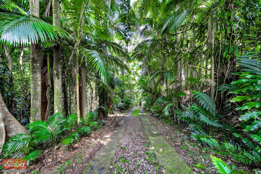 145 Hill Sixty Road, El Arish, QLD, 4855 - Image 5