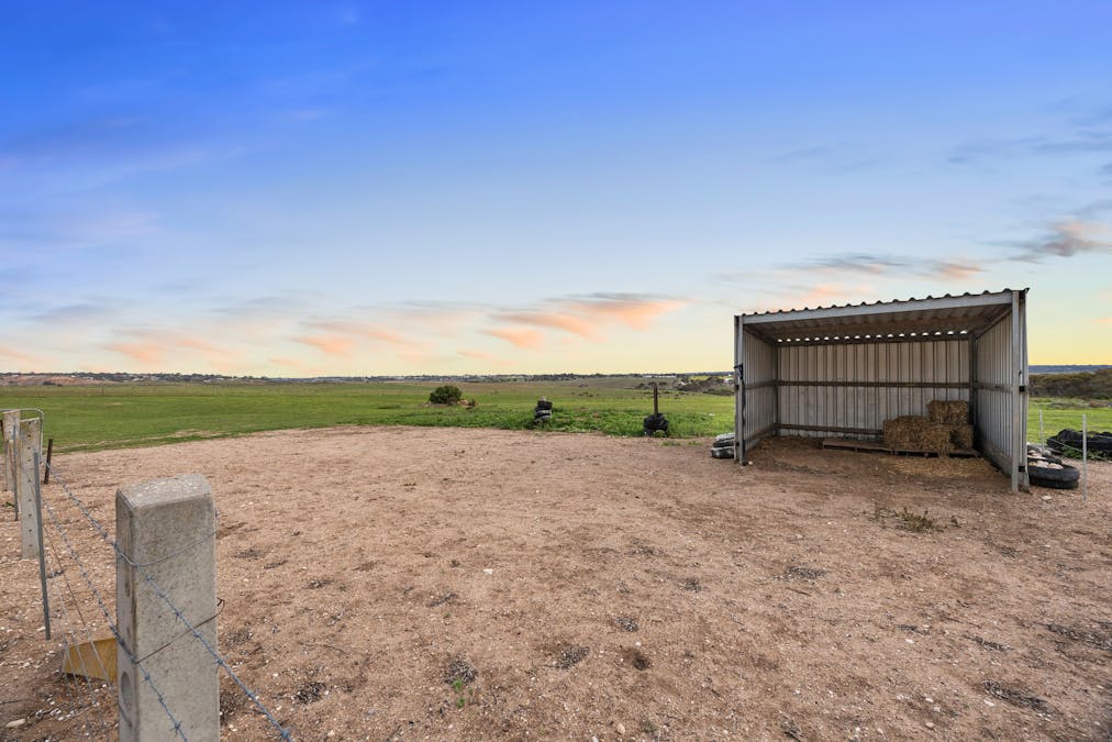 167 Kuchel Road, Murray Bridge, SA, 5253 - Image 31