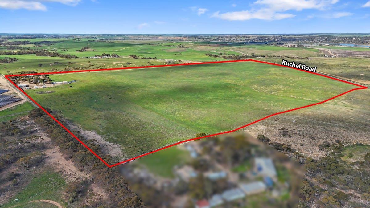 167 Kuchel Road, Murray Bridge, SA, 5253 - Image 35