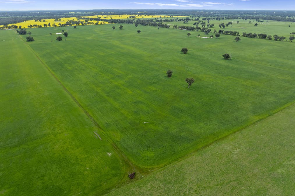 Williams Road, Nagambie, VIC, 3608 - Image 11