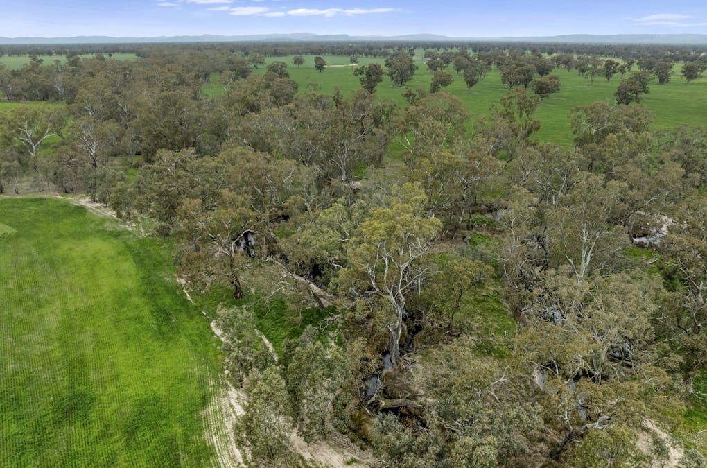 Cnr Cullens & Longwood-Shepparton Road, Molka via , Euroa, VIC, 3666 - Image 5