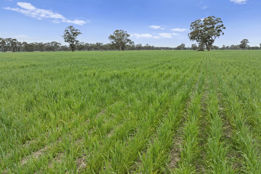 Cnr Cullens & Longwood-Shepparton Road, Molka via , Euroa, VIC, 3666 - Image 3
