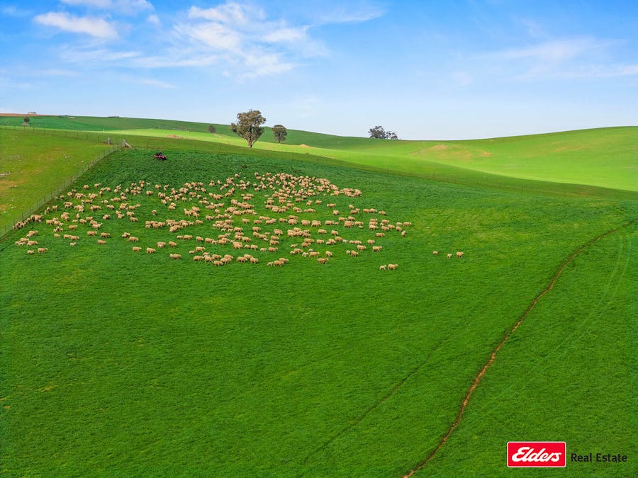 Boorowa, NSW, 2586 - Image 2
