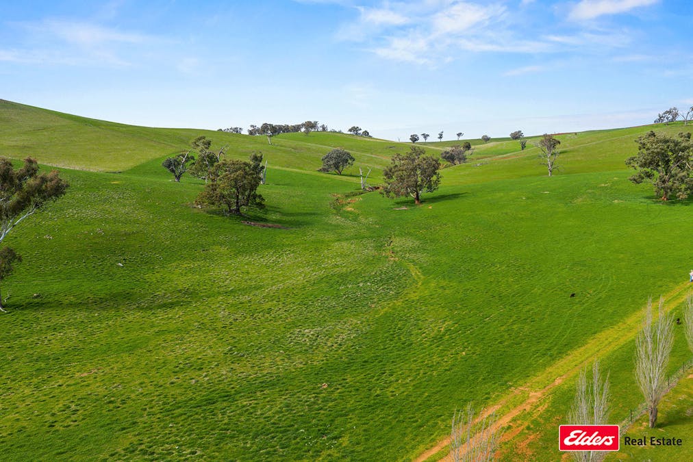 Boorowa, NSW, 2586 - Image 15