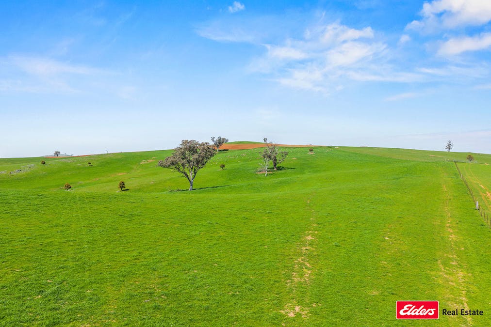 Boorowa, NSW, 2586 - Image 17