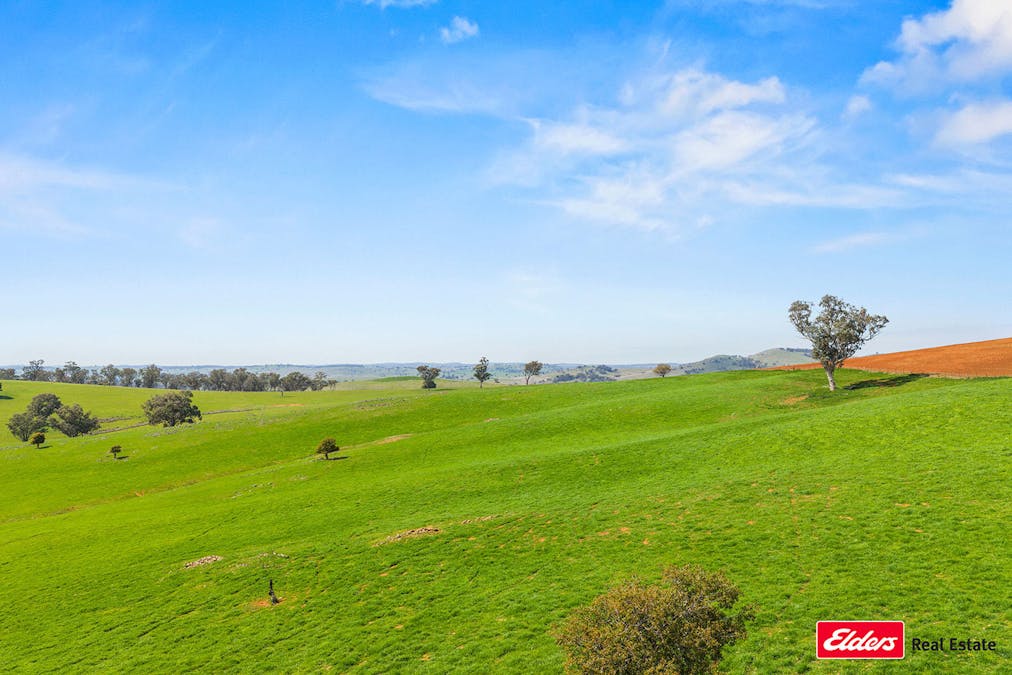 Boorowa, NSW, 2586 - Image 28