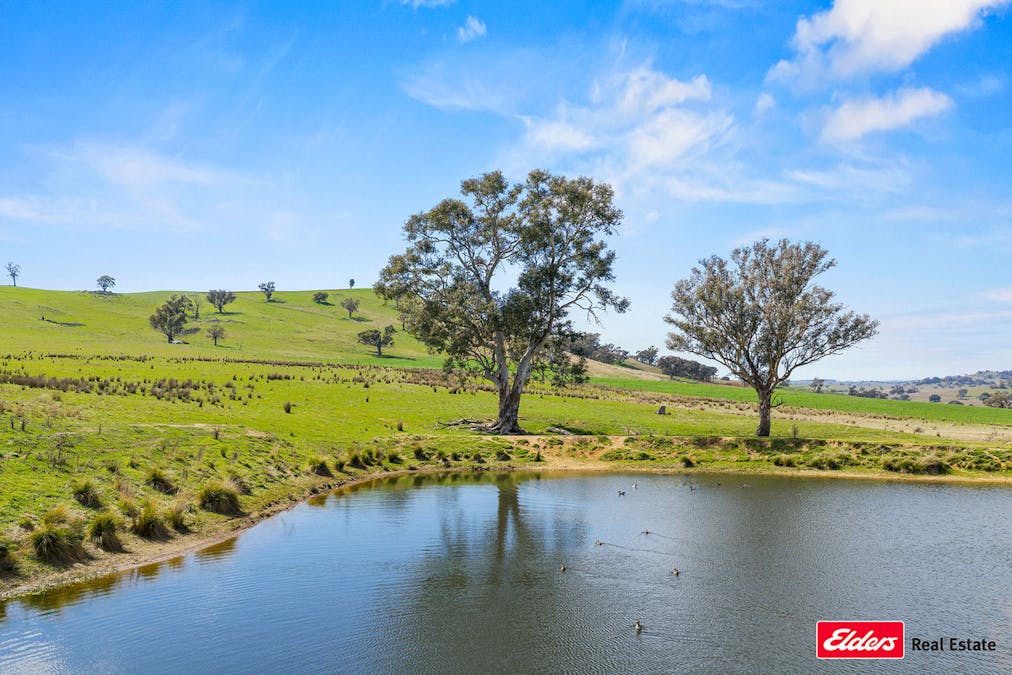 Boorowa, NSW, 2586 - Image 26
