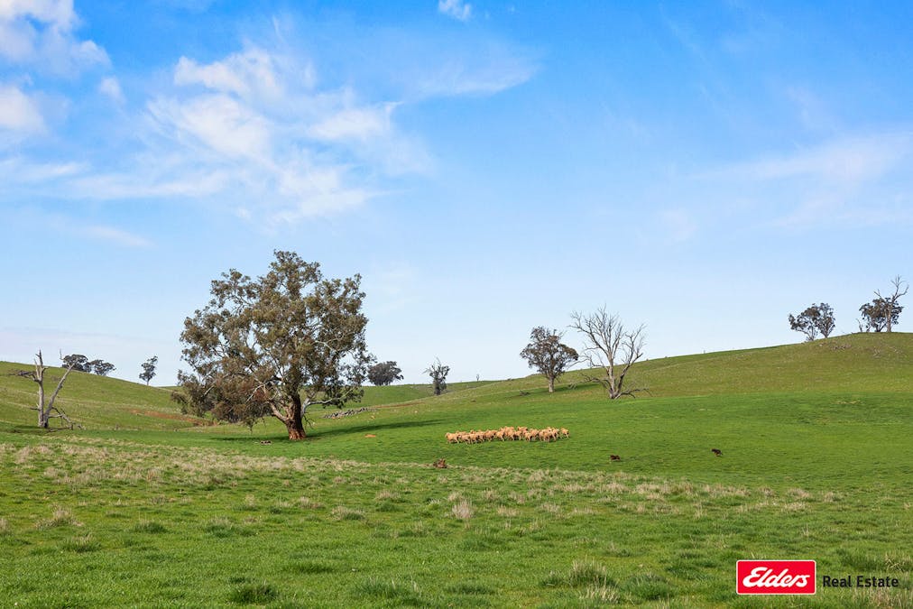 Boorowa, NSW, 2586 - Image 25
