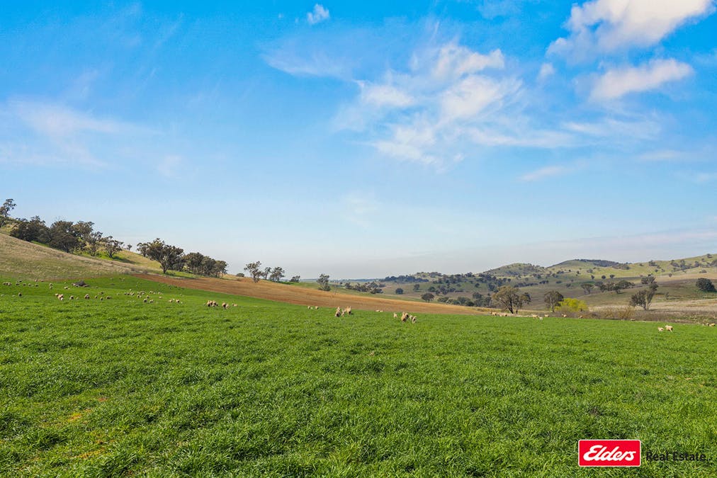 Boorowa, NSW, 2586 - Image 30
