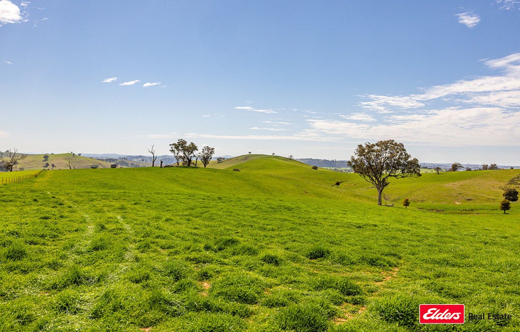 Boorowa, NSW, 2586 - Image 12