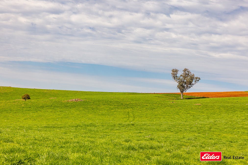 Boorowa, NSW, 2586 - Image 24