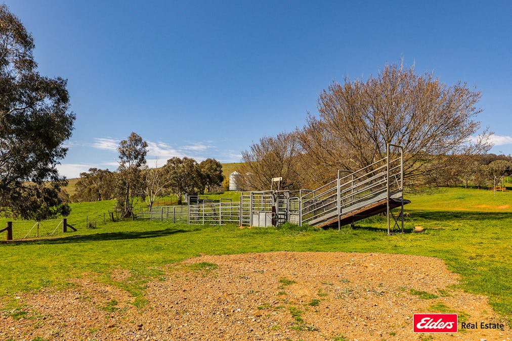 Boorowa, NSW, 2586 - Image 23