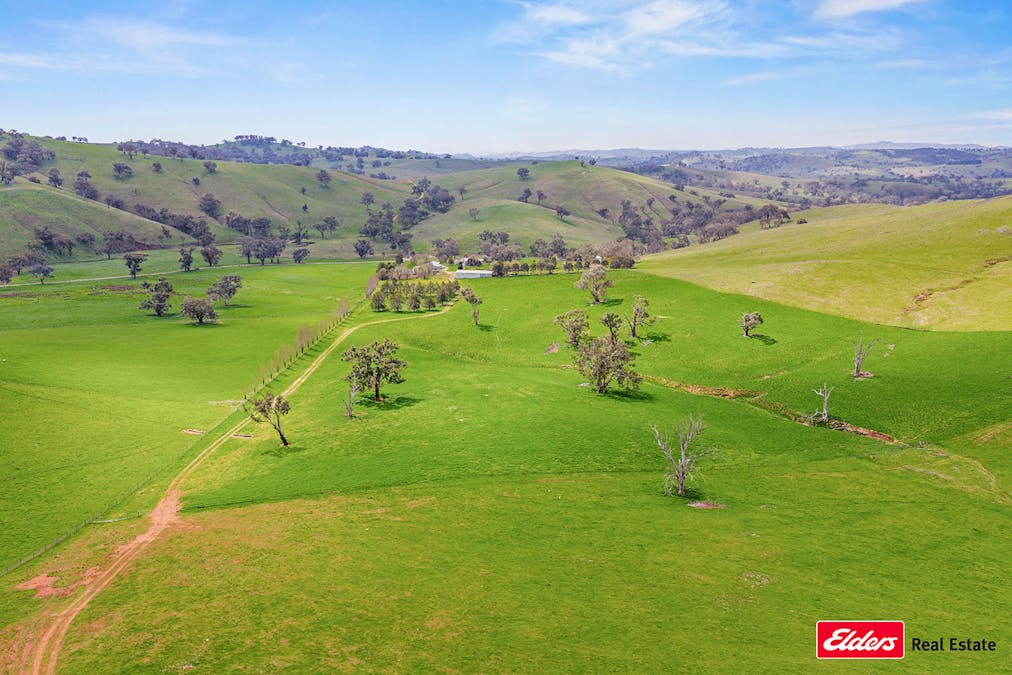 Boorowa, NSW, 2586 - Image 32