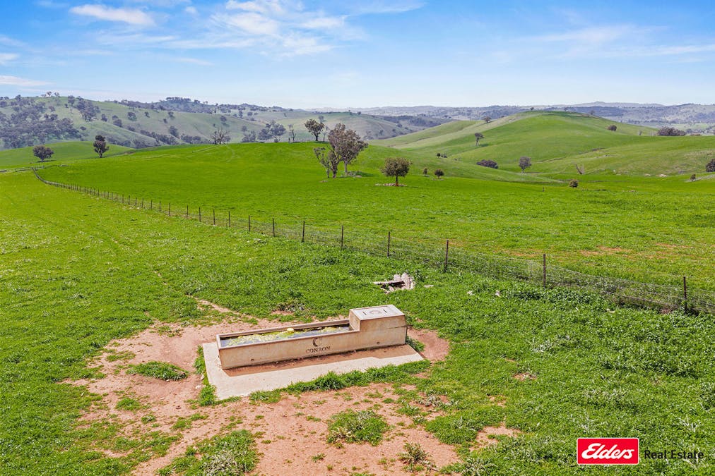 Boorowa, NSW, 2586 - Image 9