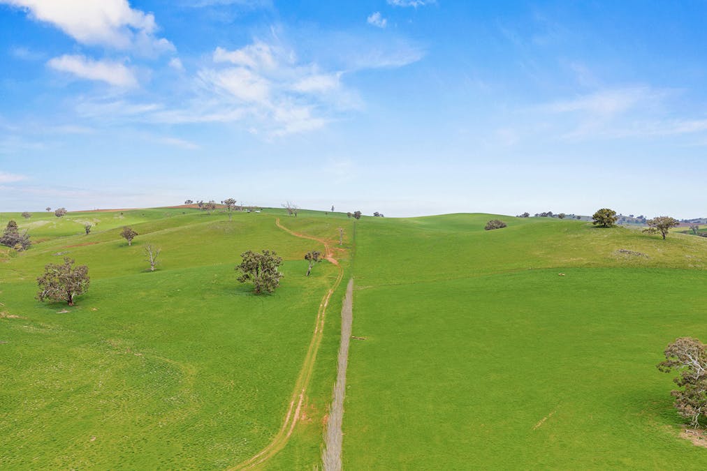 Boorowa, NSW, 2586 - Image 14