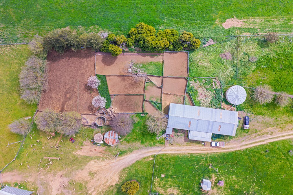 Boorowa, NSW, 2586 - Image 20