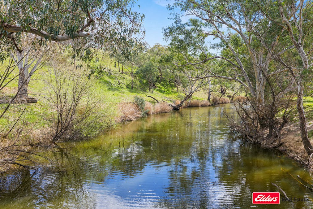 Boorowa, NSW, 2586 - Image 3
