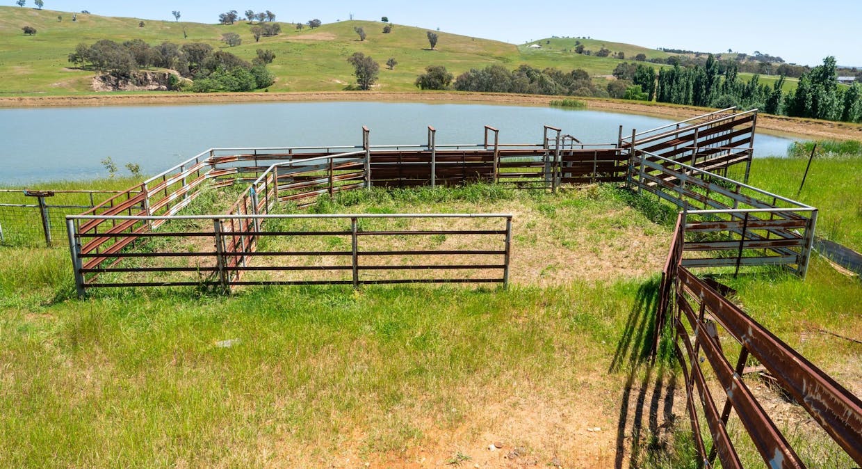 Vincents Road, Talgarno, VIC, 3691 - Image 3