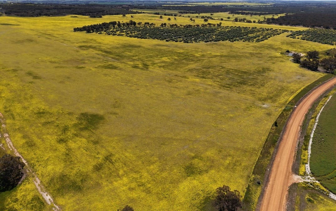 184 Ewert Road, Morbinning, WA, 6304 - Image 28