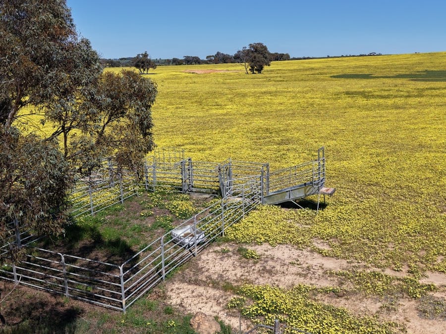 184 Ewert Road, Morbinning, WA, 6304 - Image 32