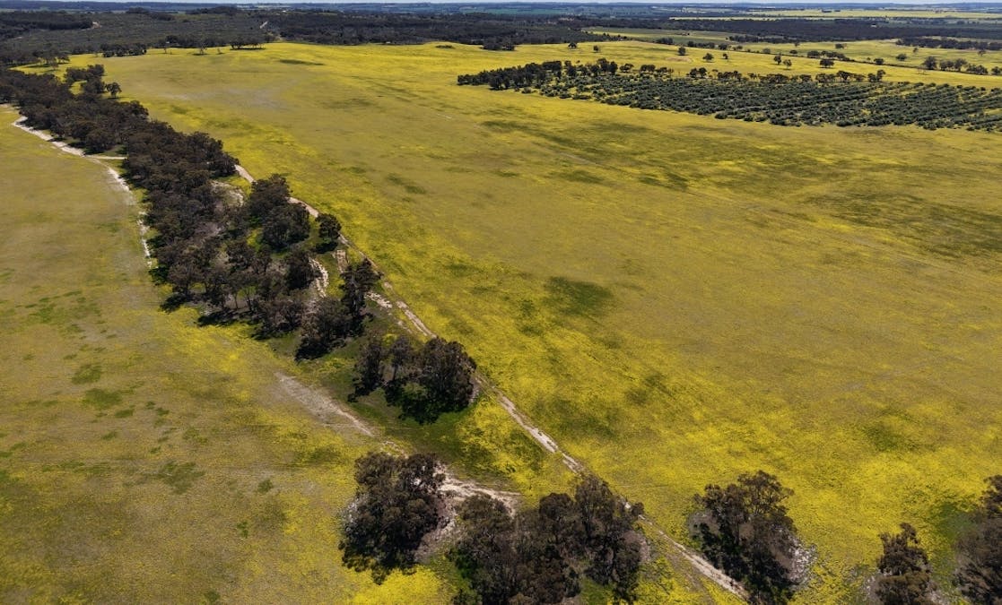 184 Ewert Road, Morbinning, WA, 6304 - Image 30