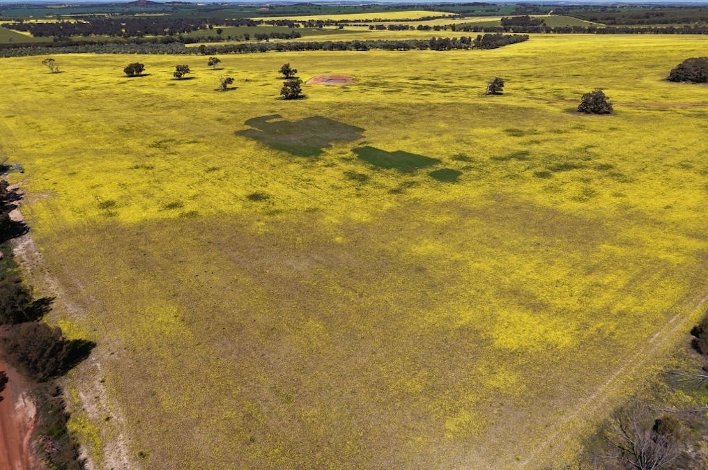 184 Ewert Road, Morbinning, WA, 6304 - Image 3