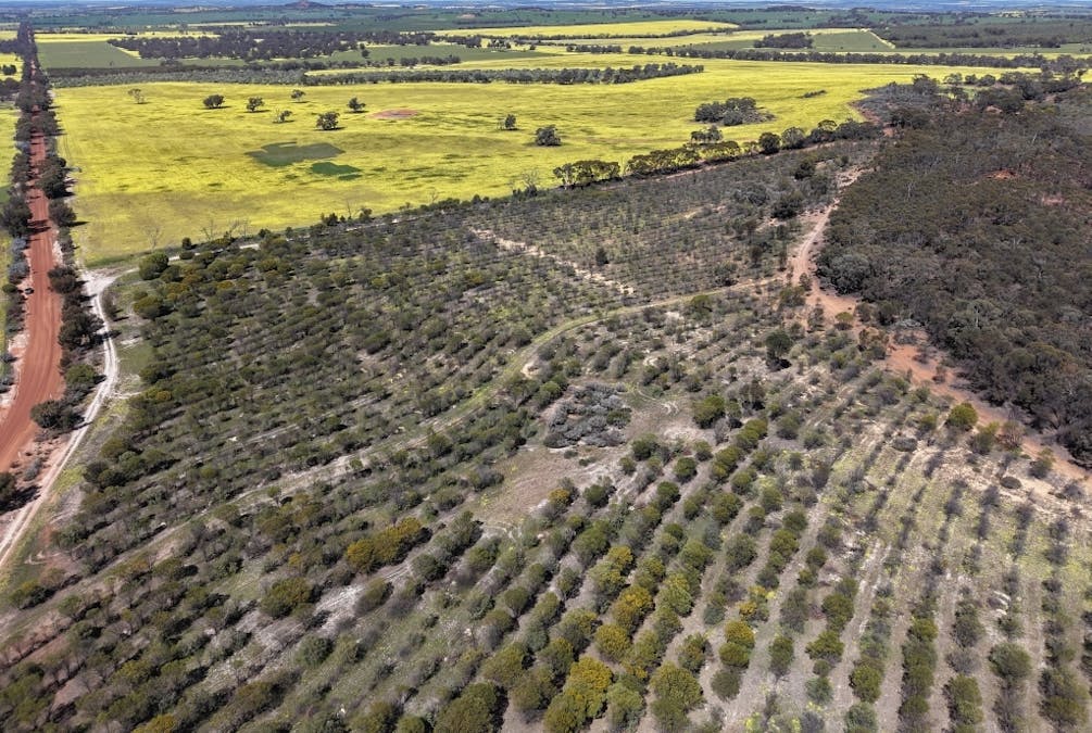 184 Ewert Road, Morbinning, WA, 6304 - Image 7