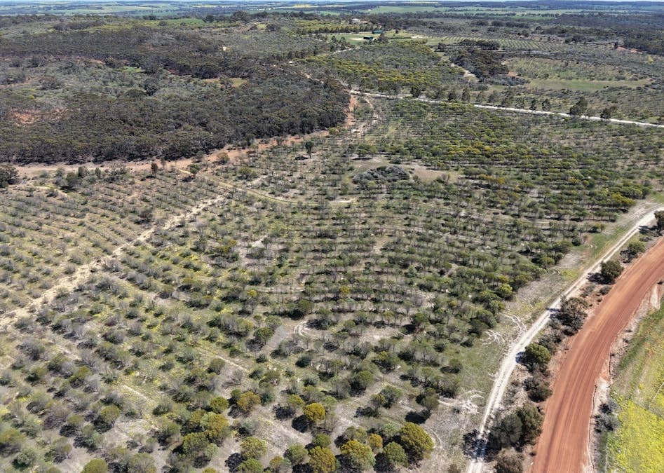184 Ewert Road, Morbinning, WA, 6304 - Image 33
